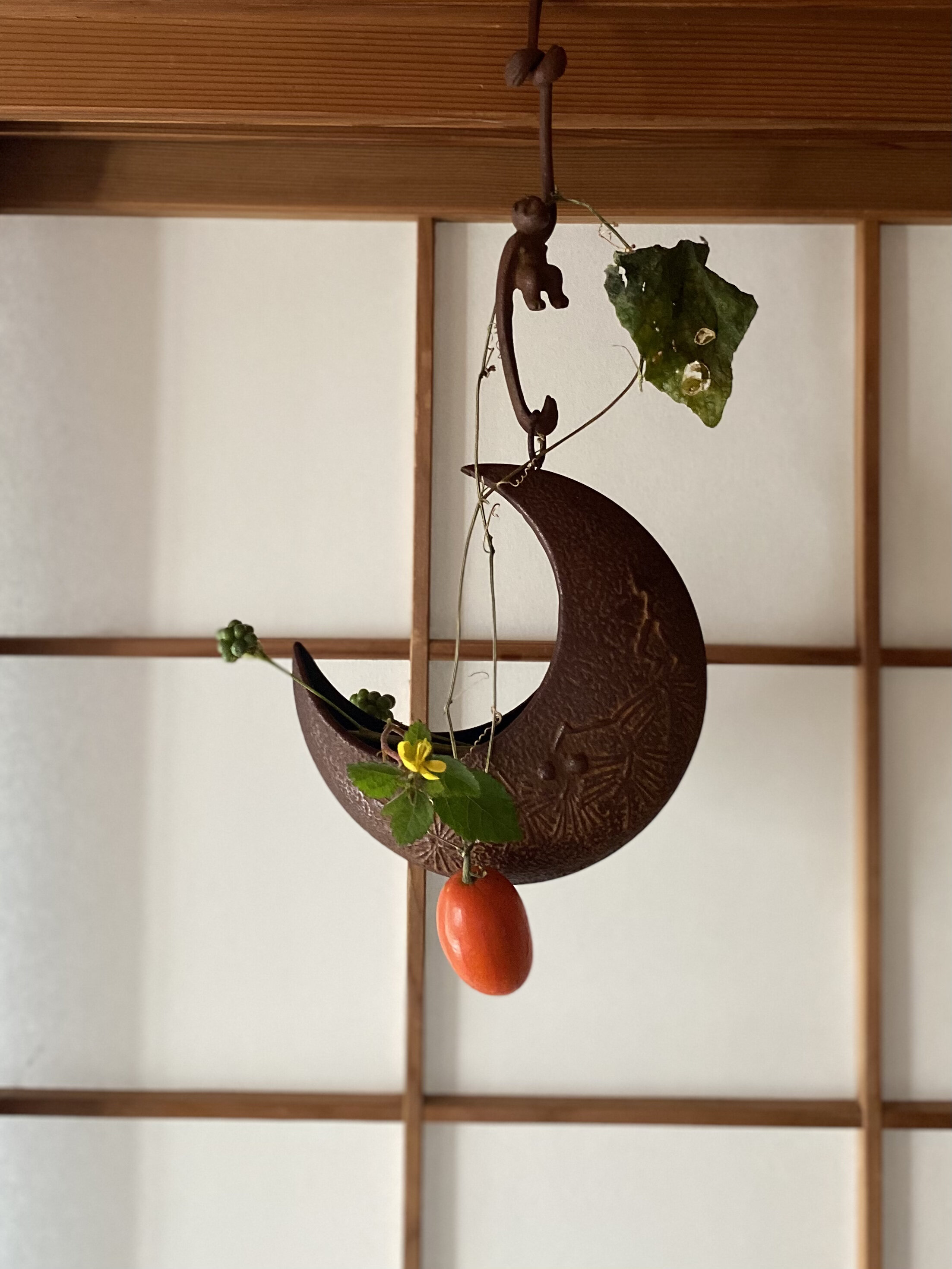 万葉抄 烏瓜ってカラスの好物？ 花材で生きる